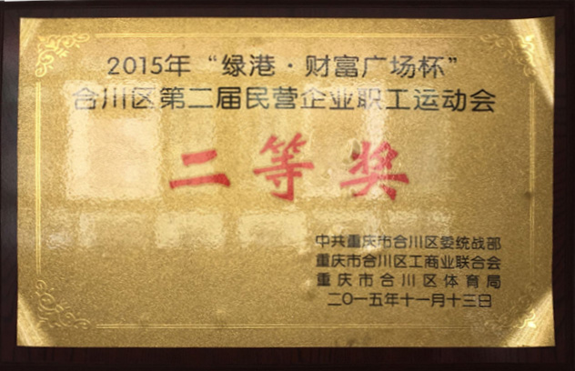 2015年合川區(qū)第二屆民營企業(yè)職工運(yùn)動(dòng)會(huì)